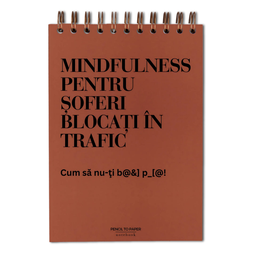 Notebook cadou amuzant pentru barbati - Meditatii din trafic