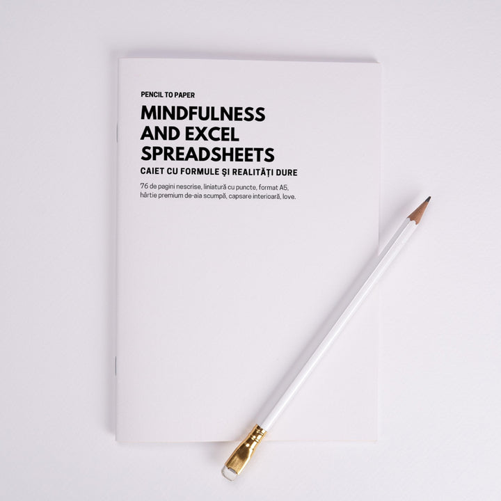 Mindfulness and excel spreadsheets. Caiet cu formule si realitati dure