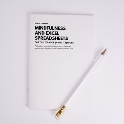 Mindfulness and excel spreadsheets. Caiet cu formule si realitati dure