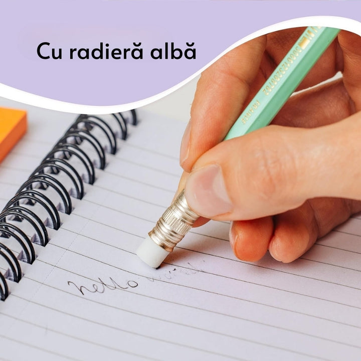 W2213081_Cutie_cu_12_creioane_grafit_HB_cu_guma_eco_evolution_corp_in_4_culori_pastel_-_BIC_5