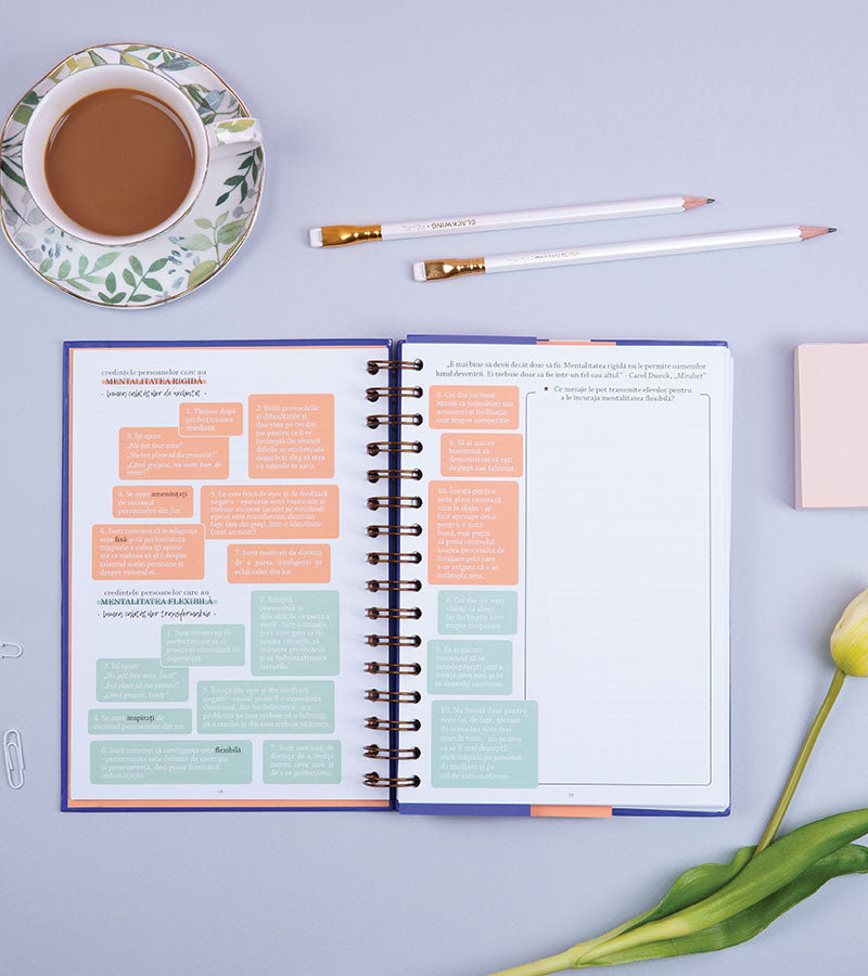 tipuri de mentalitate - Agenda Wonder teacher - Plannerul profesorului care inspira generatii - wonderstore