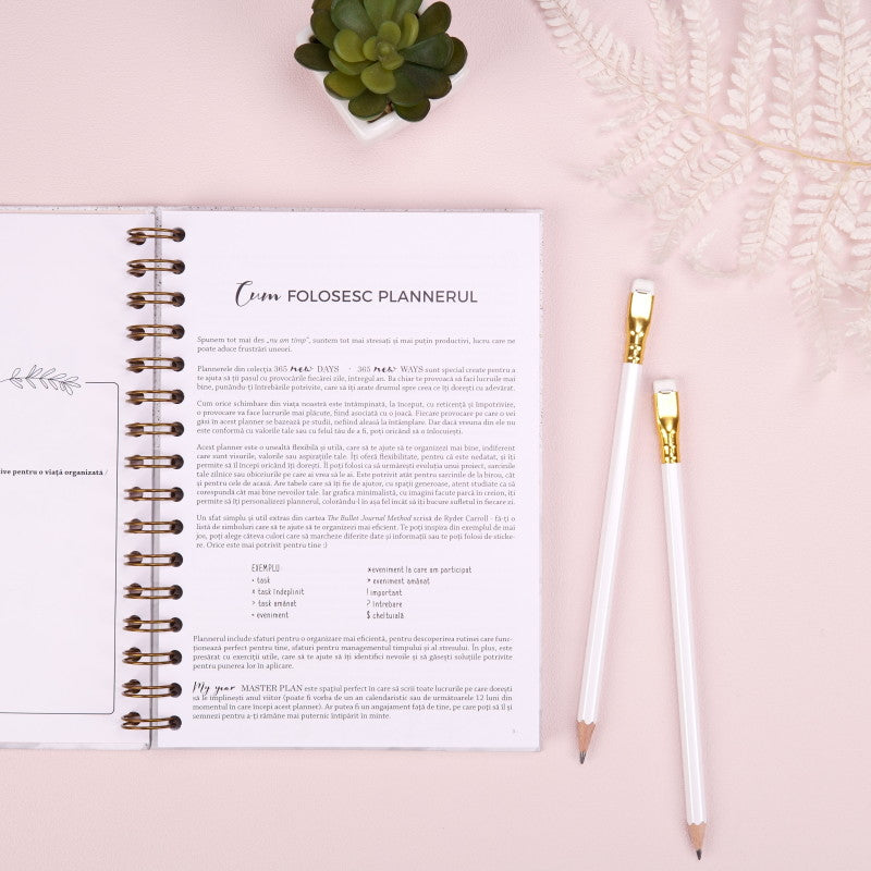 interior-cum folosesc planner 365 new days 365 new ways_format A5 (1)