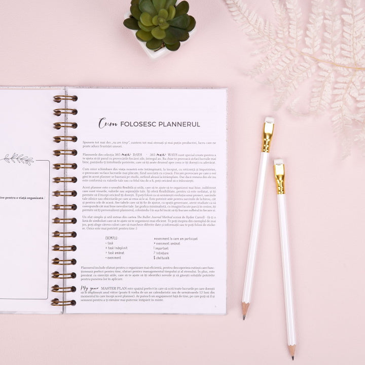 interior-cum folosesc planner 365 new days 365 new ways_format A5 (1)