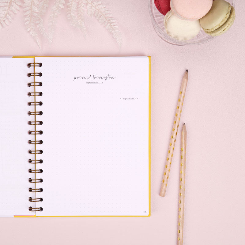 Jurnal de sarcina pentru gravide cu scrisori pentru bebelus - Happy Mom To Be