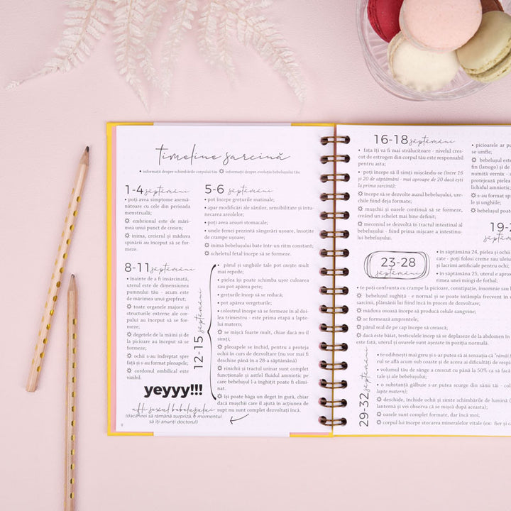 Jurnal de sarcina pentru gravide cu scrisori pentru bebelus - Happy Mom To Be