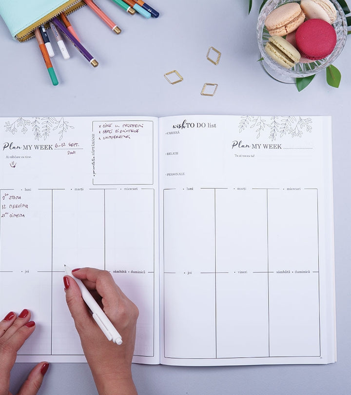 Planner anual A4 nedatat - 365-Days_Cactus-Ways_daily-planner_monthly-planner_agenda_organizare 10